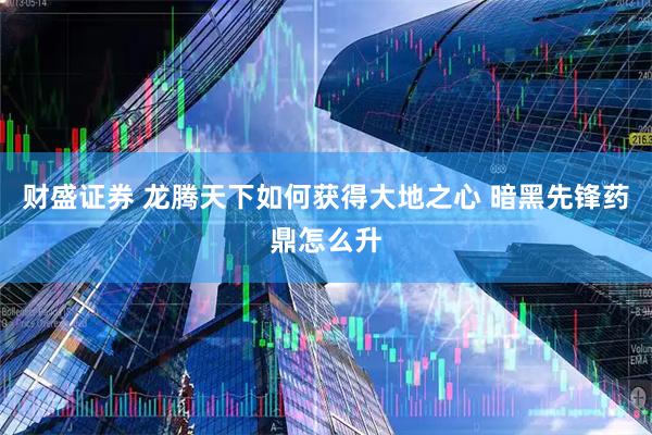 财盛证券 龙腾天下如何获得大地之心 暗黑先锋药鼎怎么升