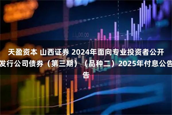 天盈资本 山西证券 2024年面向专业投资者公开发行公司债券（第三期）（品种二）2025年付息公告