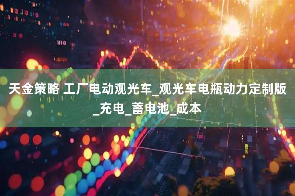 天金策略 工厂电动观光车_观光车电瓶动力定制版_充电_蓄电池_成本