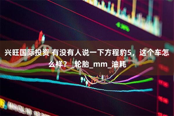 兴旺国际投资 有没有人说一下方程豹5，这个车怎么样？_轮胎_mm_油耗